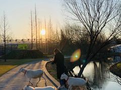 -前小桔亲子创意农场·草莓采摘·露营烧烤