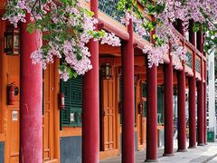 -西宁市东关清真大寺
