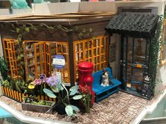 -猫的天空之城概念书店(丽江古城饮玉巷店)