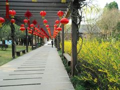 -白马涧龙池景区