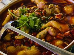 招牌霸王藤椒鱼-春风十里烧烤音乐吧(实力乐队驻唱三元里店)