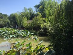 -西院1号(龙井店)