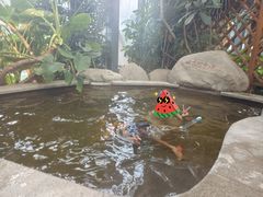 -郑州银基黄帝宫御温泉