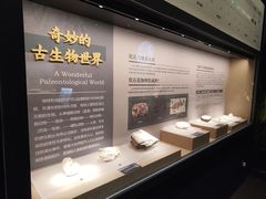 -大渡口博物馆