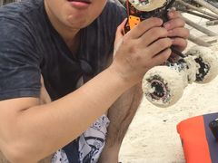 -白沙滩