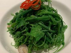 鸡油豌豆苗-粤界(望京金辉店)