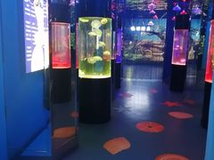 -沙沙哗啦海洋馆(华宇百花谷店)