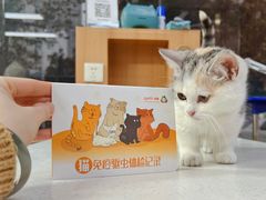 -联合动物医院(光谷诊疗中心)