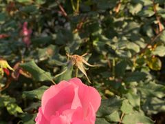 -人民公园(罗湖区)