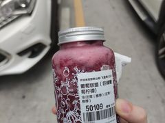 -野萃山·潮汕厚果汁(十亩地店)