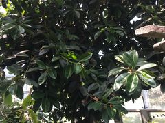 -北京植物园-展览温室