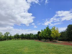 -北京西山国家森林公园