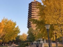 -玲珑塔公园