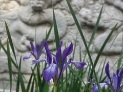 -北京石刻艺术博物馆(五塔寺)