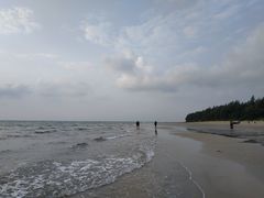 -贝壳沙滩