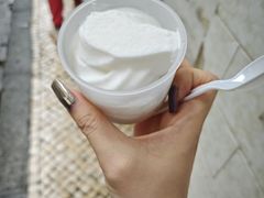 -洪馨椰子