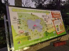 -莲花池公园