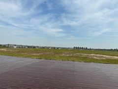 -盐城丹顶鹤湿地生态旅游区