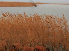 -野鸭湖国家湿地公园