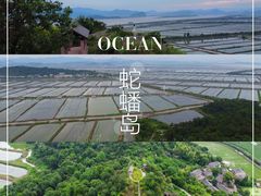 -蛇蟠岛
