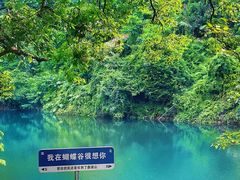 -鼎湖山风景区