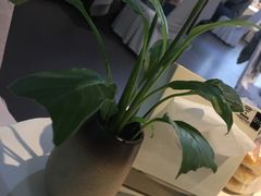 -眉州东坡(通州店)