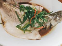 清蒸海鲈鱼-豫江南川湘料理(岗顶六店)