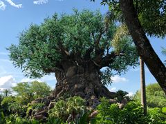 -奥兰多迪士尼动物王国乐园