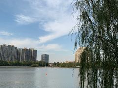 -南翔镇银翔湖公园