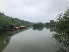 -正宗忘不了老鹅(梅岭店)