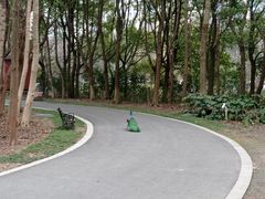 -昆山城市生态森林公园