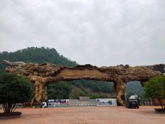 -内乡宝天曼生态旅游区