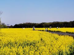 -良渚古城遗址公园