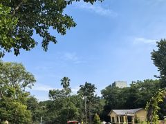 -深圳野生动物园