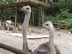 -贵州森林野生动物园