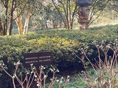 -灵顺寺