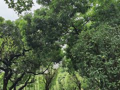 -荔香公园