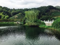 -天地生态农庄