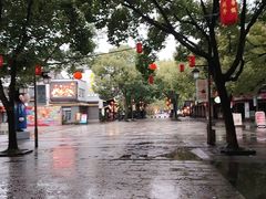 -鲁镇