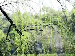 -西安市长乐公园