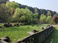 -铁山坪森林公园