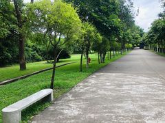 -紫马岭公园