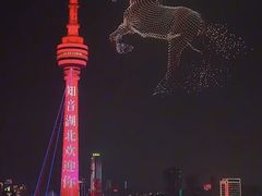 -龟山风景区-龟山电视塔