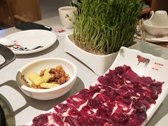 -俏牛哥鲜牛肉牛肆馆(重庆天地店)
