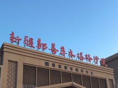 -库木塔格沙漠风景名胜区