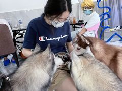 -星多哈·狗咖·拼豆·咖啡