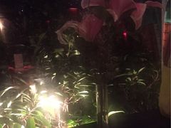 -花马天堂云南餐厅 Lost Heaven(高邮路店)