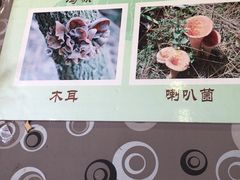 -杨记山珍鸡煲菌汤锅