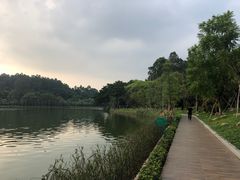 -南国桃园旅游度假区