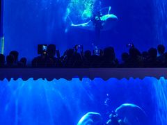 -多彩贵州城极地海洋世界